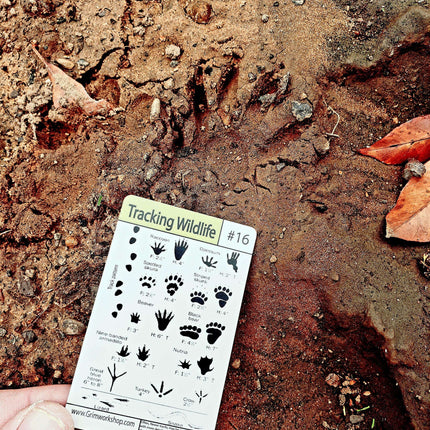 Wilderness Survival Tip Card Kit – 20 Waterproof Field Guide Cards