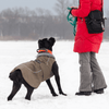 First Aid for Hypothermia in Canines: a black dog in a winter coat looking up at a person in a red coat.