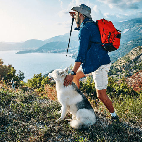 Dog Hydration on Hiking Trails: Complete Guide to Keeping Your Pup Safe and Healthy - Hiker and dog enjoying a scenic view.