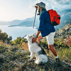 Dog Hydration on Hiking Trails: Complete Guide to Keeping Your Pup Safe and Healthy - Hiker and dog enjoying a scenic view.