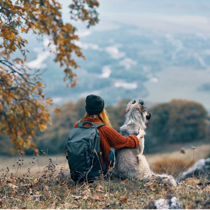 The Essential First Aid Items Every Dog-Owning Adventurer Should Have