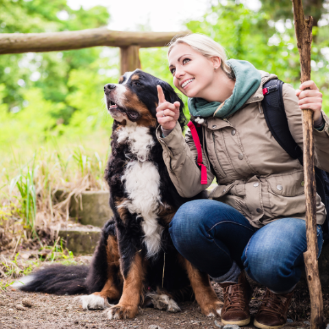 How to Handle Snake Bites in Dogs While on the Trail