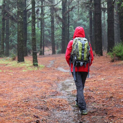 Must-Have Items for Fall Foliage Backpacking Trips