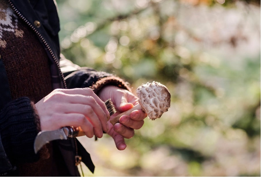 5 Survival Skills Every Preparedness-Minded Person Should Master
