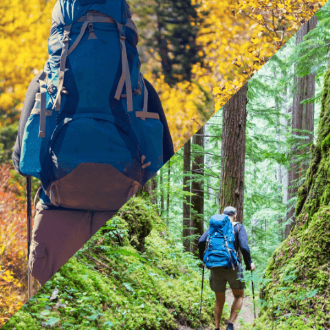 Transitioning Hikes: Prepping Your First Aid Kit from Fall to Spring - A hiker with a backpack in autumn and spring scenery.