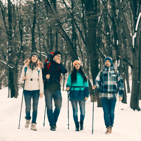 First Aid Essentials for Snow Trekking and Winter Hiking - group of hikers walking in snow-covered forest.