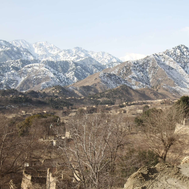 Banner image for: <h5><strong>VitalOps – A Tactical Aid Company (ViTAC):</strong></h5>