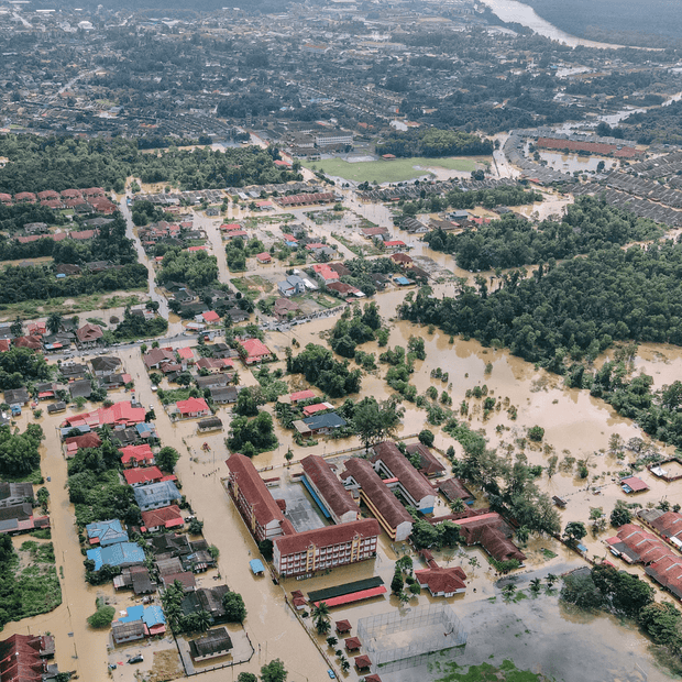 <h2><strong>Rapid-Response & Government Aid Programs</strong></h2>
