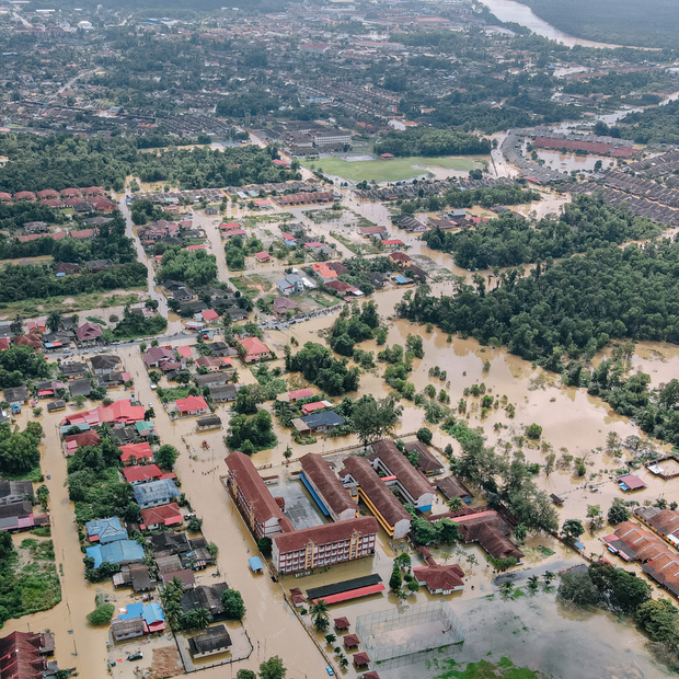 <h2><strong>Rapid-Response & Government Aid Programs</strong></h2>