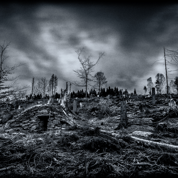 Banner image for: <h1><strong>Disaster Response</strong></h1>