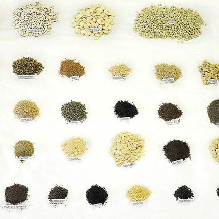 HEIRLOOM VEGETABLE SEED KIT