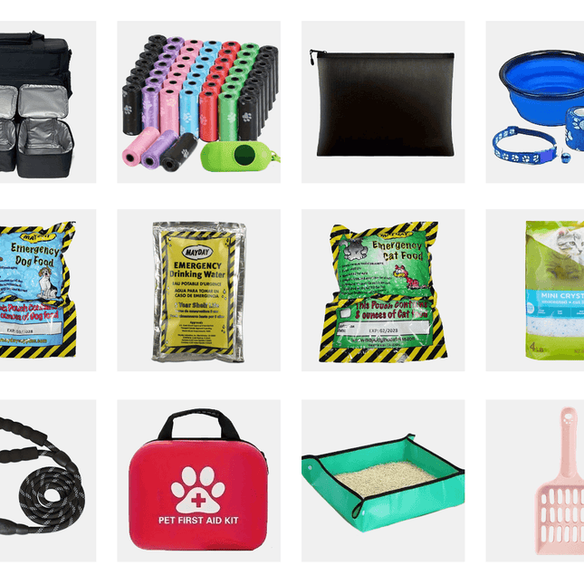 Emergency survival kit for pets including food, water, first aid, and supplies for evacuations and extreme weather.