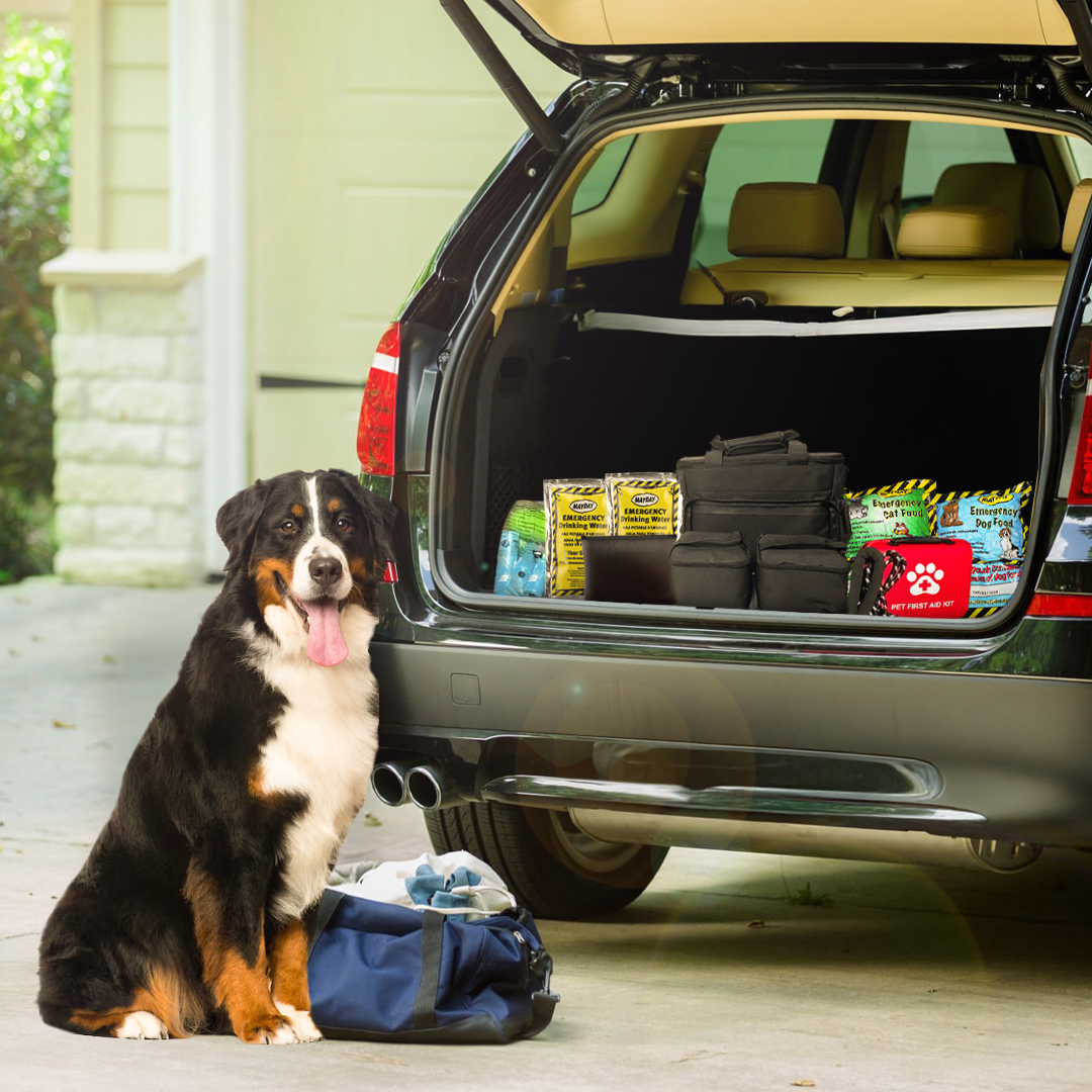 The Safe Pet Kit – Emergency Survival Kit for Dogs & Cats